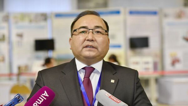 Директор Национального центра тестирования Рамазан Алимкулов - Sputnik Казахстан