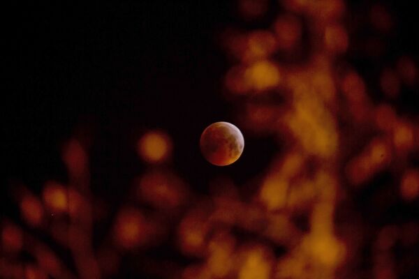 Кровавое лунное затмение в Бельгии - Sputnik Казахстан