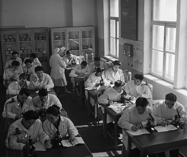 Студенты на занятии на кафедре паразитологии в Алматинском зооветеринарном институте (АЗВИ), архивное фото - Sputnik Казахстан
