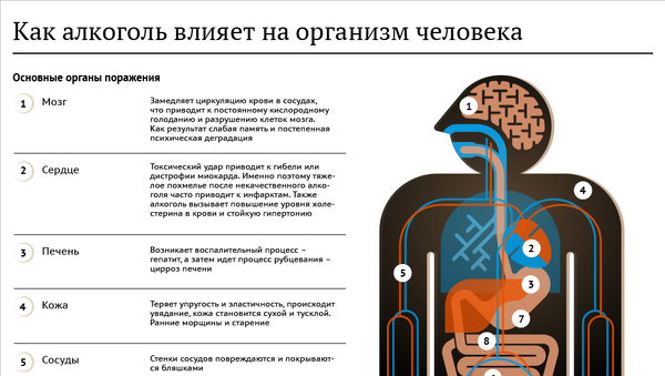 Как алкоголь влияет на организм человека - Sputnik Казахстан