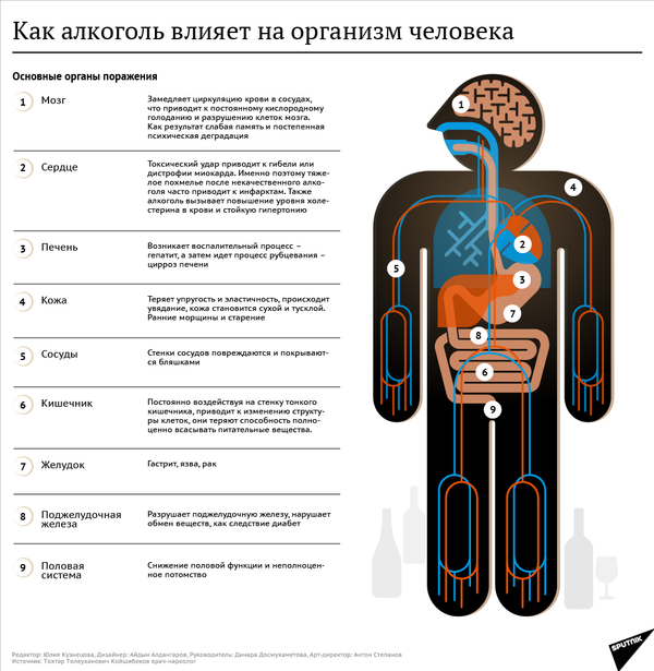 Как алкоголь влияет на организм человека - Sputnik Казахстан