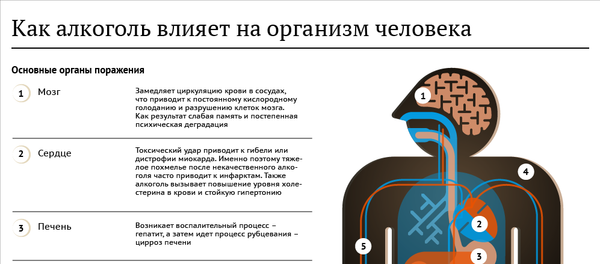 Как алкоголь влияет на организм человека - Sputnik Казахстан