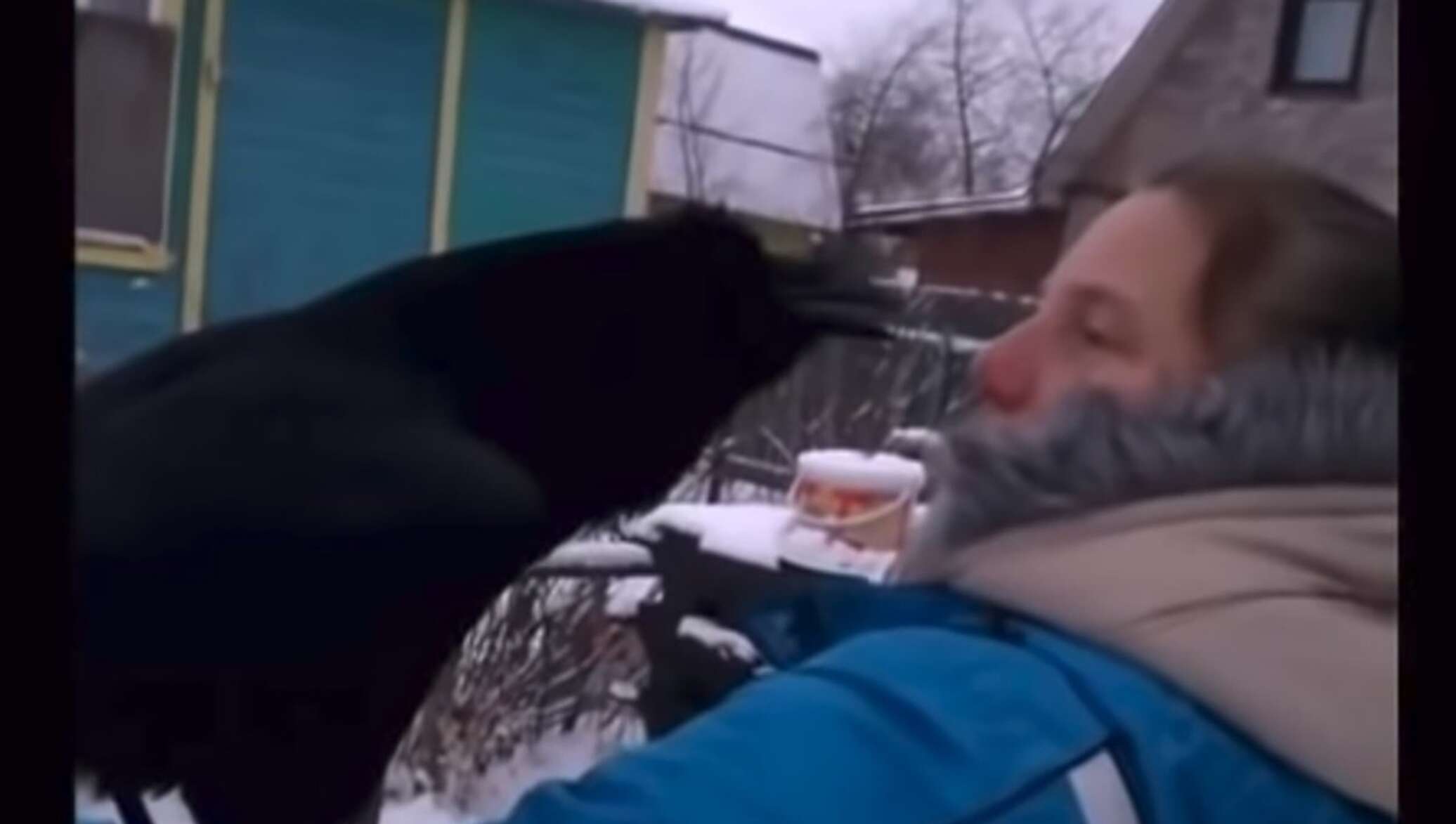 Смешные видео с Васей