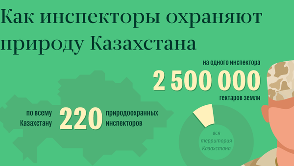 Условия работы природоохранных инспекторов - Sputnik Казахстан