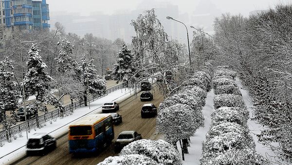 Снегопад в Алматы - Sputnik Казахстан