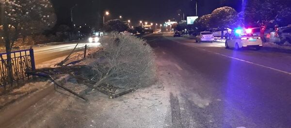 Ниссан снес забор и дерево на ул. Утеген батыра  - Sputnik Казахстан