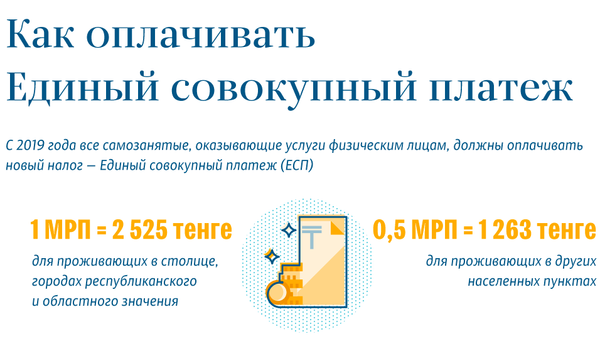 Как оплачивать Единый совокупный платеж (ЕСП) - Sputnik Казахстан