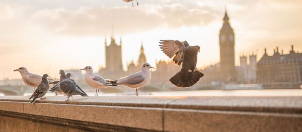 Лондон - Sputnik Казахстан