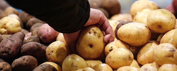 Картофель Картофель - Sputnik Казахстан