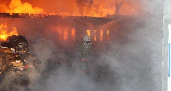 Сегіз бөлімшенің өрт сөндірушілері тілсіз жаумен күресті - Sputnik Қазақстан