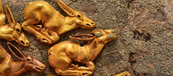 Ерден Оралбай раскопки - Sputnik Казахстан