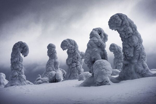 Снимок Frozen Giants фотографа Ignacio Palacios, выигравший в номинации The Snow & Ice Awards конкурса The International Landscape Photographer of the Year 2018  - Sputnik Казахстан