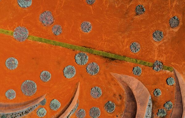 Снимок Red Sand Garden фотографа Peter Virag, попавший в Топ-101 лучших снимков конкурса The International Landscape Photographer of the Year 2018 - Sputnik Казахстан