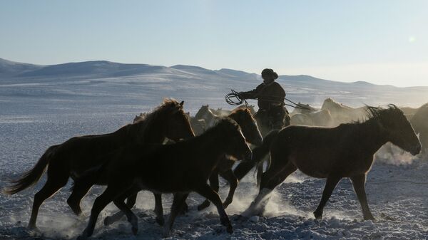 Мужчина пасет лошадей, архивное фото - Sputnik Казахстан