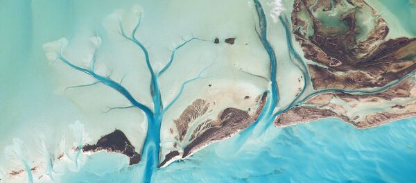 Вид из космоса на Лонг-Айленд, Багамские острова - Sputnik Казахстан