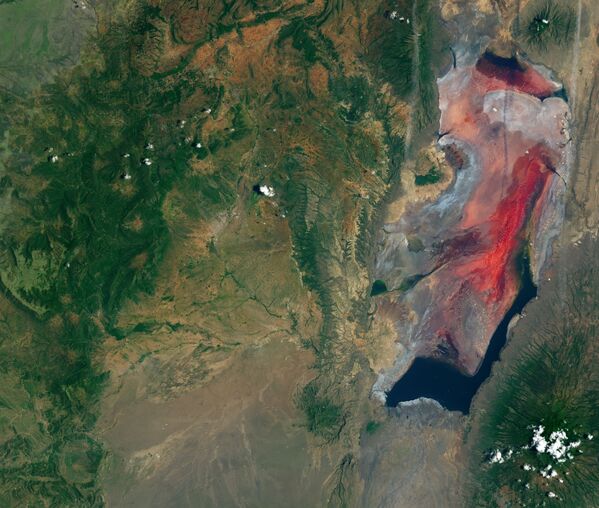 Вид из космоса соленого и щелочного озера Натрон в Танзании - Sputnik Казахстан