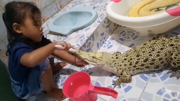 Девочка чистит зубы крокодилу - Sputnik Казахстан