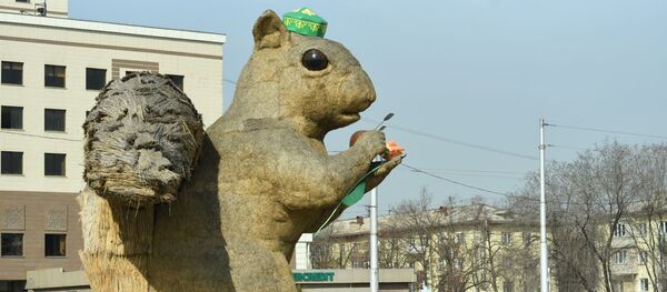 На алматинскую белку надели тюбетейку - Sputnik Казахстан