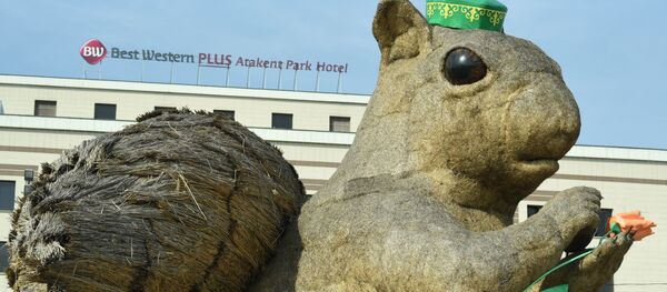 На алматинскую белку надели тюбетейку На алматинскую белку надели тюбетейку - Sputnik Казахстан