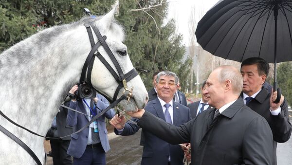 Президенту РФ Владимиру Путину подарили коня в Кыргызстане - Sputnik Казахстан