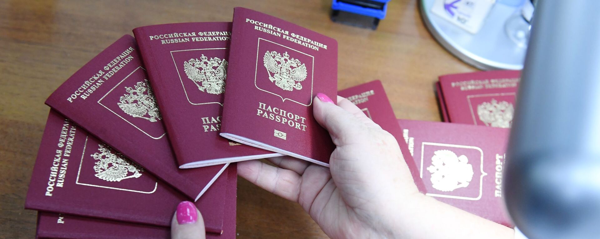Заграничные биометрические паспорта граждан Российской Федерации - Sputnik Қазақстан, 1920, 23.09.2022