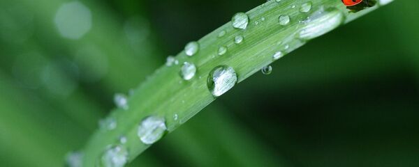 Дождь - Sputnik Казахстан