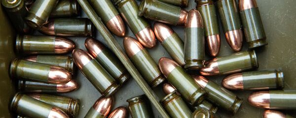 Патроны - Sputnik Казахстан