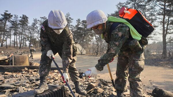 Правительство Южной Кореи объявило о бедствии национального масштаба в связи с пожарами - Sputnik Казахстан