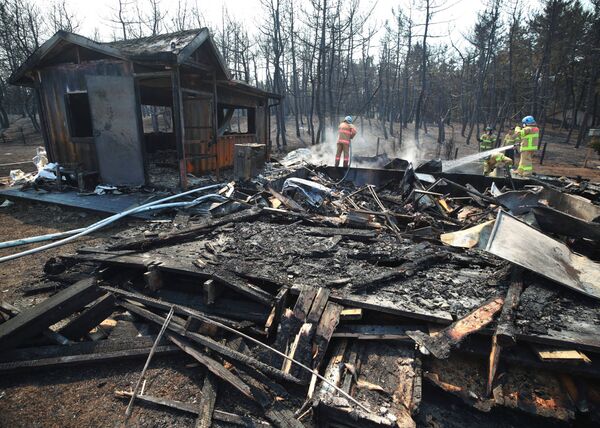 Правительство Южной Кореи объявило о бедствии национального масштаба в связи с пожарами - Sputnik Казахстан