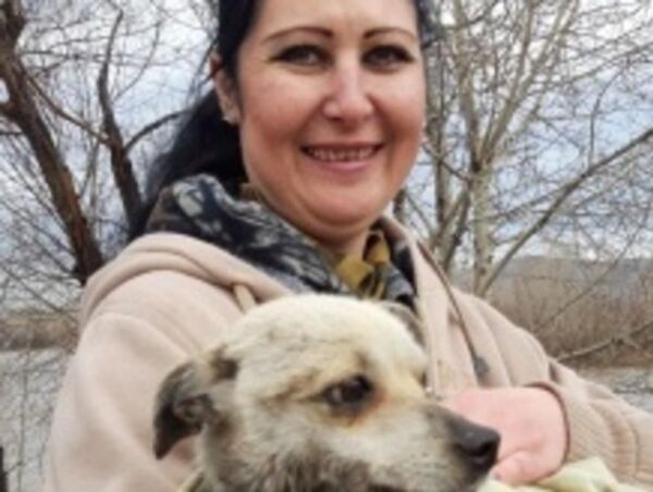 Счастливая история: дворняжку спасли с затопленного острова в Усть-Каменогорске - Sputnik Казахстан