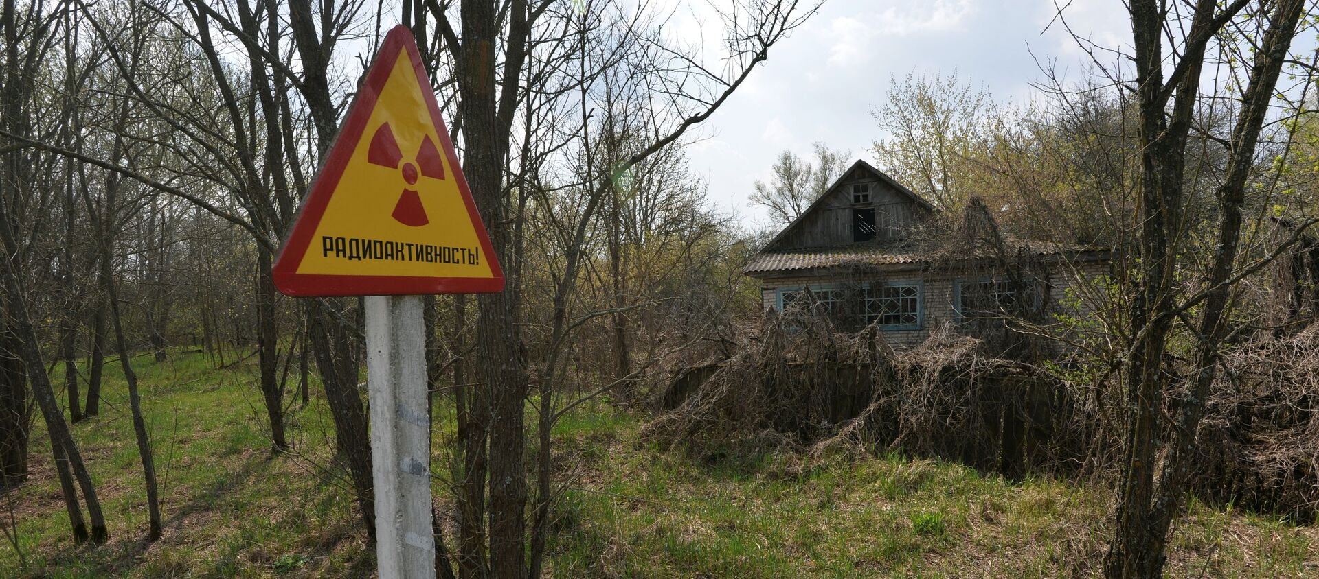 Белорусский сектор зоны отчуждения Чернобыльской АЭС - Sputnik Казахстан, 1920, 08.04.2019
