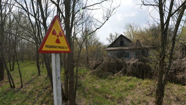 Белорусский сектор зоны отчуждения Чернобыльской АЭС - Sputnik Казахстан