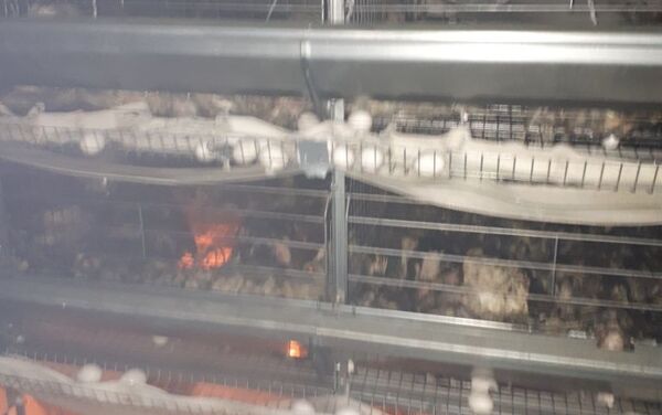 Пожар на птицефабрике в городе Рудный - Sputnik Казахстан