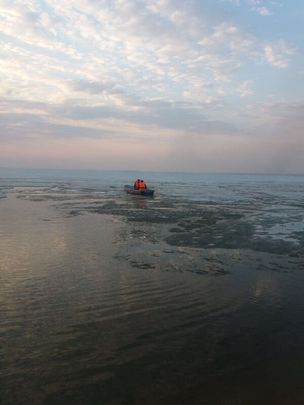 Бездомная собака дрейфует посреди озера в Кокшетау: как спасают животное Бездомная собака дрейфует посреди озера в Кокшетау: как спасают животное - Sputnik Казахстан