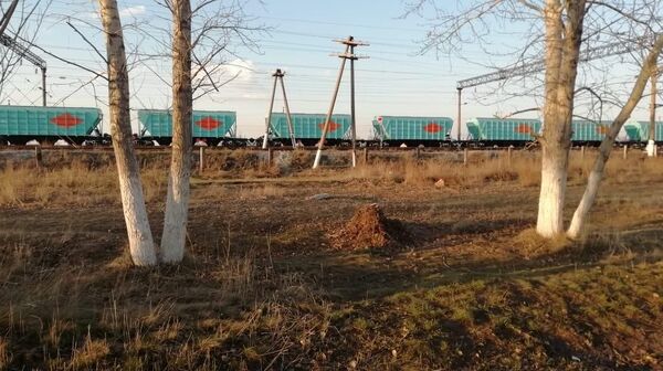 Школьник погиб на ж/д путях во время субботника в Акмолинской области Школьник погиб на ж/д путях во время субботника в Акмолинской области - Sputnik Казахстан