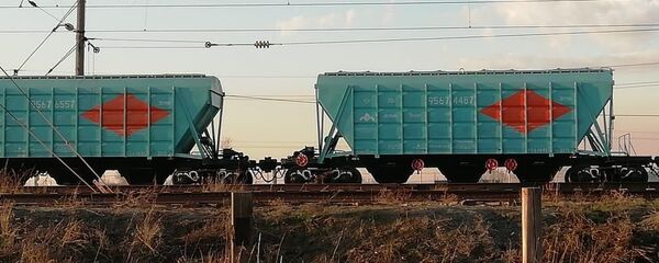 Ақмола облысындағы сенбілік кезінде 14 жастағы оқушы мерт болды Ақмола облысындағы сенбілік кезінде 14 жастағы оқушы мерт болды - Sputnik Қазақстан