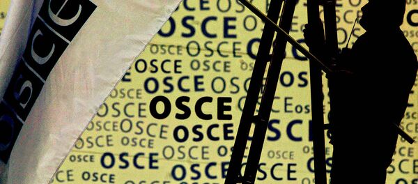 Флаг и логотип ОБСЕ, иллюстративное фото Флаг и логотип ОБСЕ, иллюстративное фото - Sputnik Казахстан