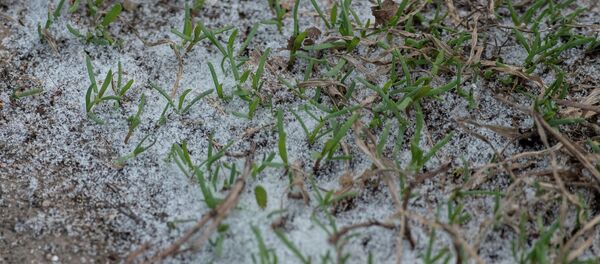 Қар - Sputnik Қазақстан