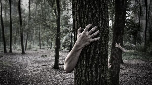 Руки человека обнимают ствол дерева, иллюстративное фото - Sputnik Казахстан