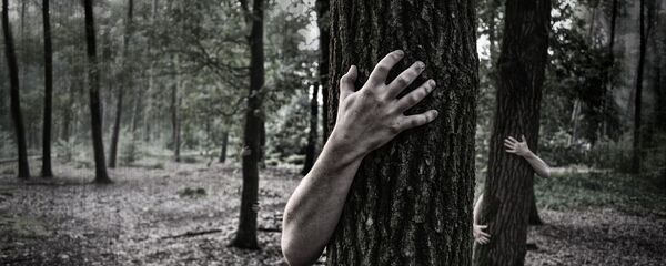 Руки человека обнимают ствол дерева, иллюстративное фото - Sputnik Казахстан