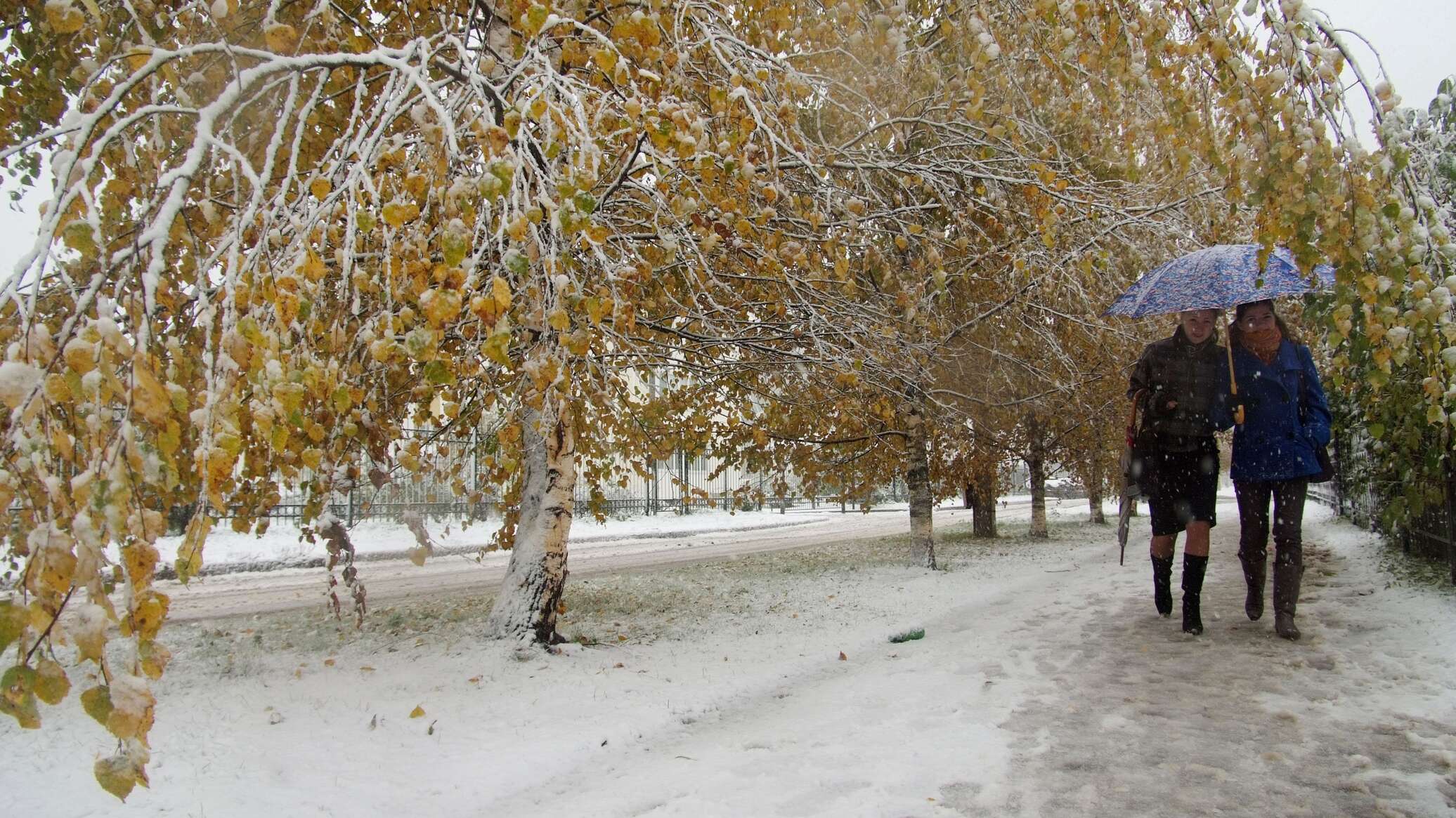 Первый снег в Казахстане