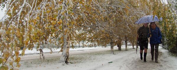 Күзде жауған қар - Sputnik Қазақстан