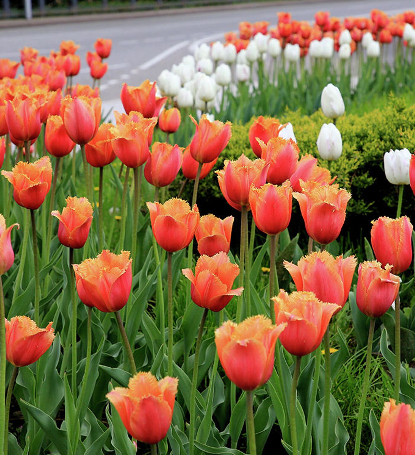 Орысша порно