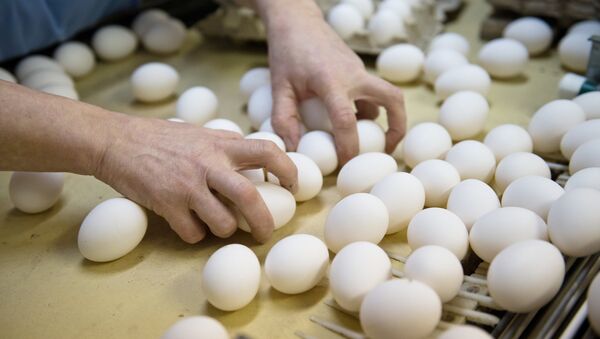 Яйца, архивное фото - Sputnik Казахстан
