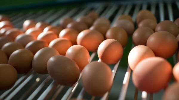 Фасовка яиц на птицефабрике, архивное фото - Sputnik Казахстан