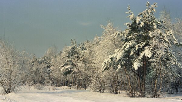 Зимний пейзаж. Архивное фото - Sputnik Казахстан