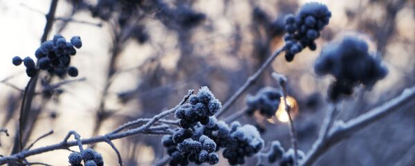 Зимняя погода - Sputnik Казахстан