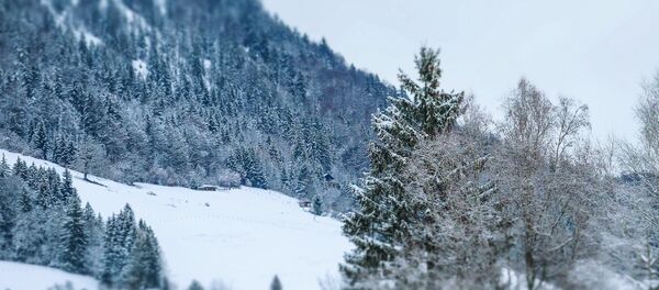 Архивное фото зимней природы Архивное фото зимней природы - Sputnik Казахстан