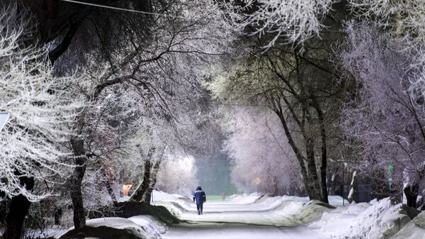 Архивное фото деревьев в снегу - Sputnik Қазақстан