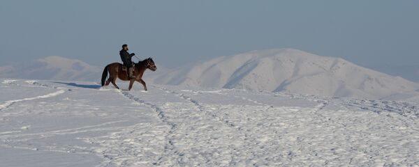 Пастух. Архивное фото - Sputnik Казахстан